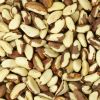 Paranoten Raw (BIO)
