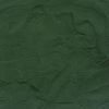 Spirulina Poeder (BIO)