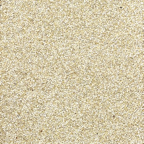 Quinoa Wit (BIO)